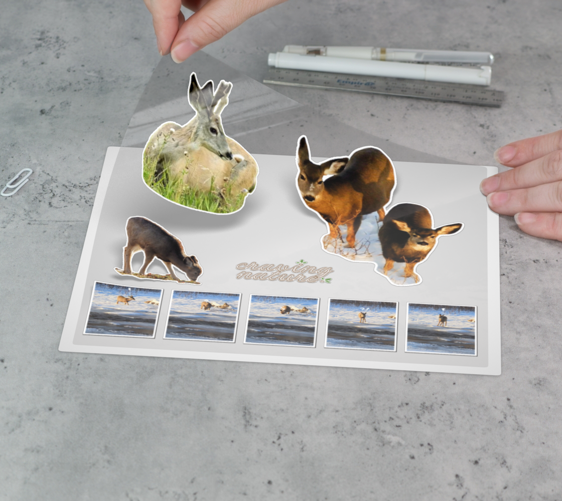 Deer Sticker Sheet