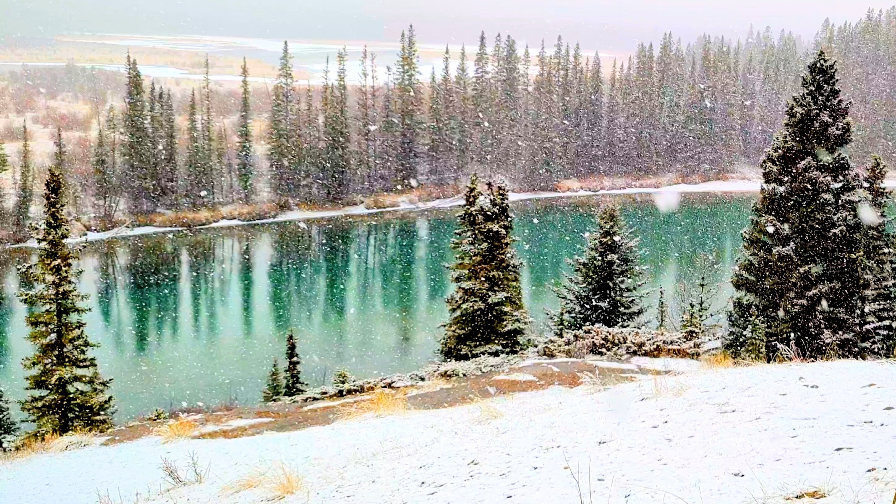 Load video: Gentle Snowfall &amp; Calm Wind Sounds near Banff, AB, Canada in the Rocky Mountains. View of turquoise water lined with coniferous trees and fluffy white snow falling steadily onto white snow-covered ground. White Noise for Sleeping &amp; Relaxation, 1 Hour Winter Ambience