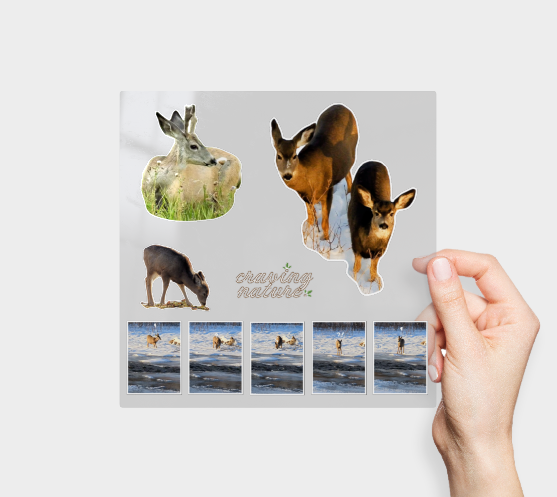 Deer Sticker Sheet