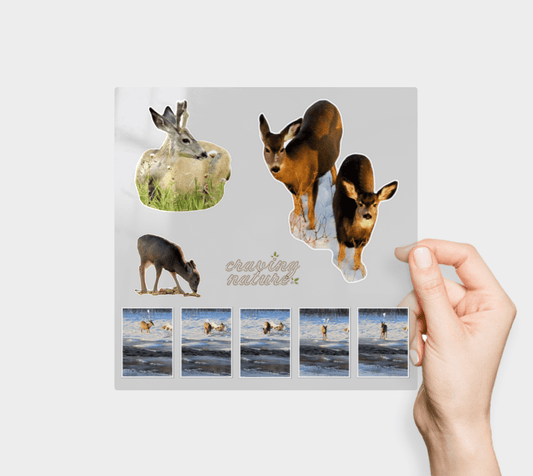 Deer Sticker Sheet - craving nature