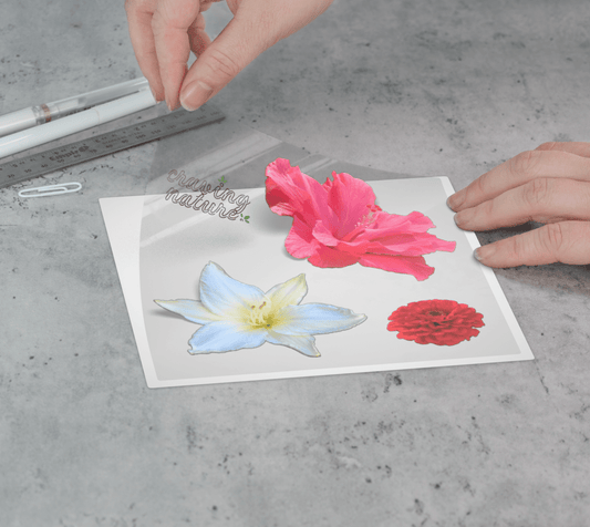 Flower Sticker Sheet 5"x5" - craving nature