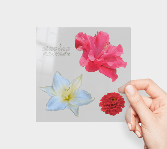 Flower Sticker Sheet 5"x5" - craving nature
