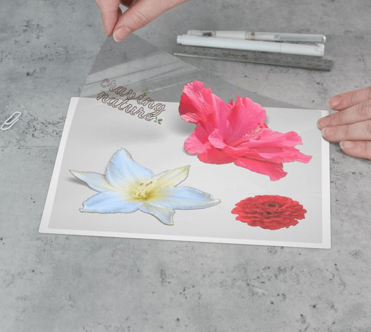 Flower Sticker Sheet 9"x9" - craving nature